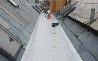 Zachraňme střechu Nadace Josefa Plívy