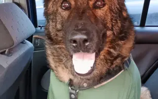 Léčba, která nekončí - Fůrie