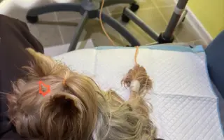 Pomozte Maxíkovi v boji s lymfomem