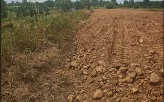 Pomozte nám postavit útočiště pro psy z ulice