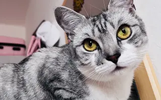 Daisy bojuje o život. Pomozme jí znovu dýchat