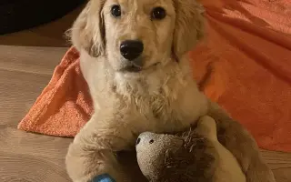 Pomozte Woodymu žít plnohodnotný život <3