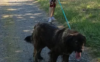 Kotce pro dočasné péče našich svěřenců 🐾