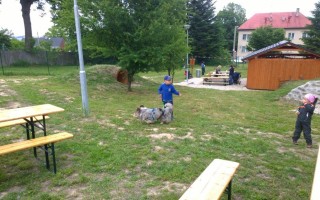Canisterapie CANTES v krajích ČR jako sociální rehabilitace