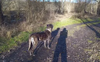 Když chybí pocit bezpečí a jistoty, z psychiatrie se dostává těžko