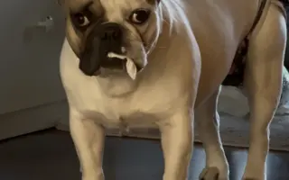 Pomozte nám zvládnout nečekanou operaci❤️‍🩹