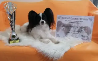Naděje pro Juliette