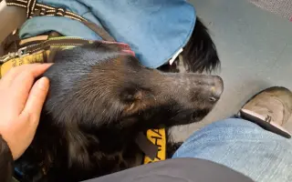 Potřebujeme opravit auto, na kterém jsme závislí.