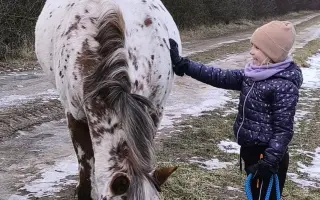 Pomozme zachovat Dvůr poslední šance
