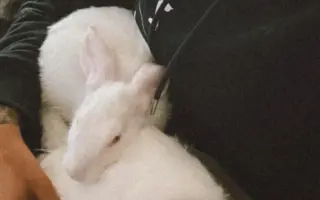 Minora a Destiny už jednou dostaly šanci na život. Teď o něj bojují podruhé.