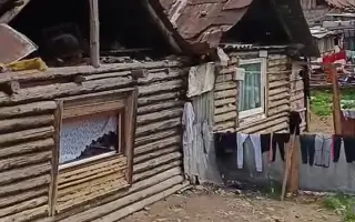 Záchrana pro psy ze slovenských osad 🩷