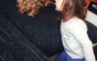 Rehabilitace a auto pro Samantu