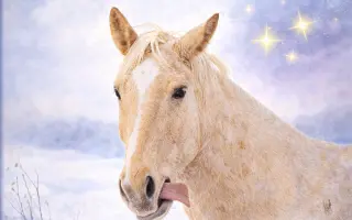 Knížka, která rozzáří dětské oči