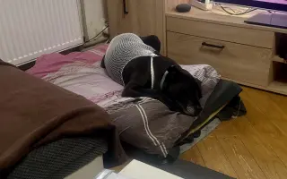 POMOC PRO ABBEY – DŮSTOJNÁ PALIATIVNÍ PÉČE