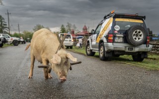 Žabáci jedou s Vitarou do Gruzie: Podpořte jejich off-roadový sen!