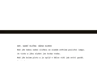 Přispěj na prázdninový amatérský film