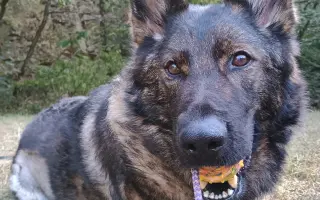 Pomoc Furině v boji s lupusem (SLE)