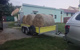 Sucho vypálilo pastviny. Zachráněná zvířata potřebují seno.