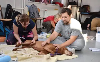 Srdce pro útulek Tibet – Společně zachraňujeme zvířecí životy