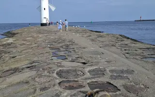 Pomozte zachránit Harryho