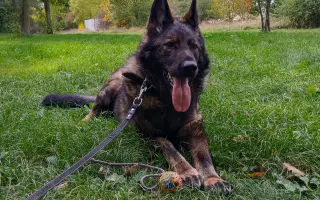 Léčba, která nekončí - Fůrie