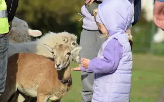 My zachraňujeme zvířata, ony mohou pomáhat Vám a Vašim blízkým