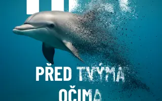 Pomoc obětem hurikánu Beryl