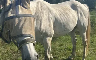 Pomoc pro Sanyho s rakovinou