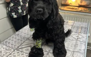 Operace očí  a veterina pro Medvídka Pú 🩷