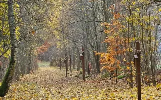 MEDITATIVNÍ KŘÍŽOVÁ CESTA V OBOŘE