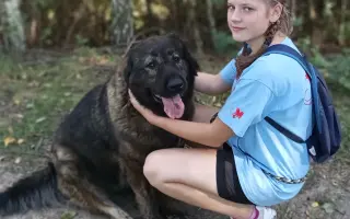 Kotce pro dočasné péče našich svěřenců 🐾