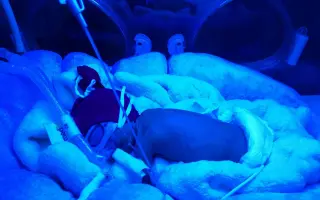 Pomozte Pájovi s dopravou