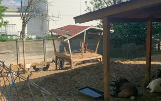 Voliéra pro staré a nemocné kočičky k mobilheimu