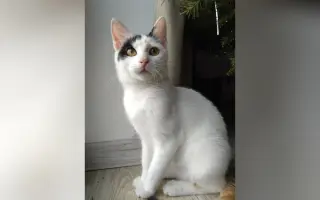 Pomoc Mimi-Míně porazit smrtelnou nemoc