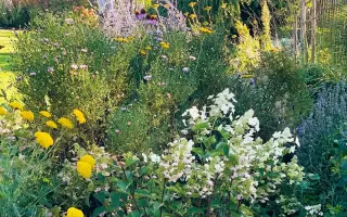 „Kniha, která promění vaši zahradu v místo plné přírody, života a zdravé půdy.“