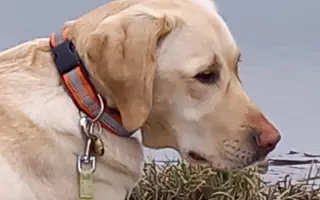 Pomozte Quentymu být mýma očima ❤️