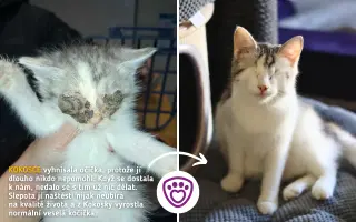 Každá kapka má smysl! Přiveďte vodu do centra pro handicapovaná zvířata