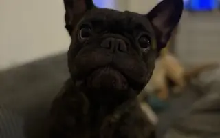 Pomozme Calvinovi zpět na nožičky