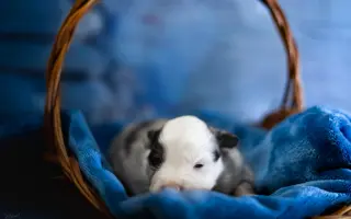 Podpořte pořízení nového fotovybavení