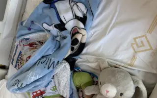 Pojďme dát Domískovi šanci chodit!