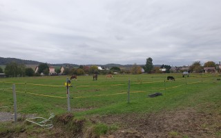 Naléhavá žádost o pomoc pro koně zasažené povodní