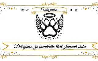 Pomozte vytvořit místo, kde vzpomínky léčí a dávají naději. 💔