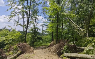 ZACHRAŇME SINGLETRAIL MORAVSKÝ KRAS JEDOVNICE