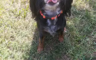 Shamy bouje s bolestí. Pomozme jí prožít stáří důstojně