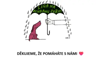 ❣️FUNGOVÁNÍ LIGY NA OCHRANU ZVÍŘAT - VETERINÁRNÍ PÉČE PRO KOČKY V NOUZI⚕️👩‍⚕️