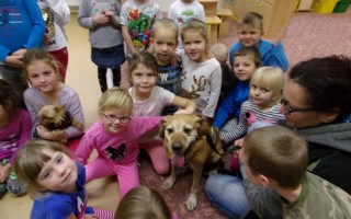 Canisterapie CANTES v krajích ČR jako sociální rehabilitace
