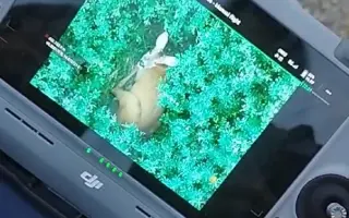 Dron - Anděl strážný pro srnčata při senosečích (nejen na Vyškovsku)