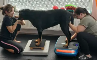 Mladou fenku srazil vlak, pomožme jí k pohybu rehabilitací.