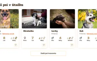 Pomozte nám vytvořit nový PesWeb.cz — domov pro tisíce opuštěných psů a koček