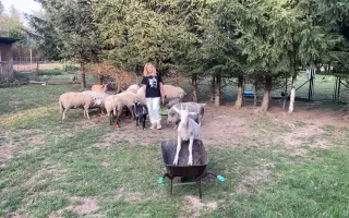 Pomozte nám naplnit jesle zachráněným ovcím a kozám z Farmy Kapsa